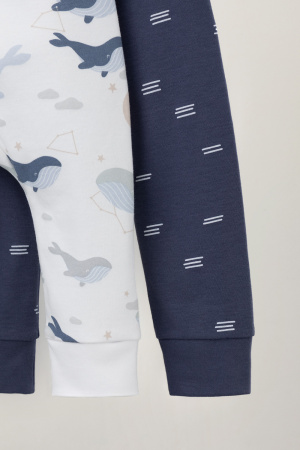 набор брюки