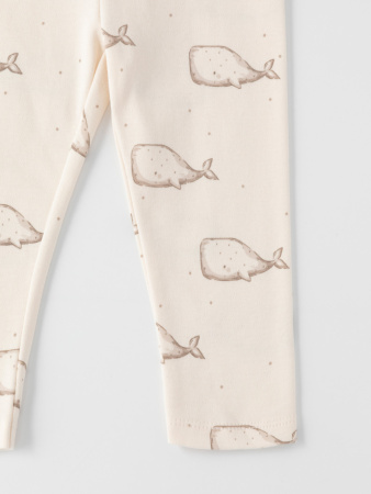 набор брюки