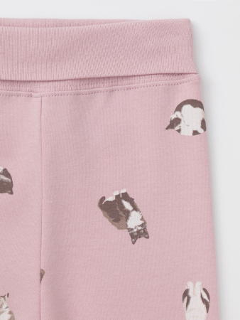 набор ползунки