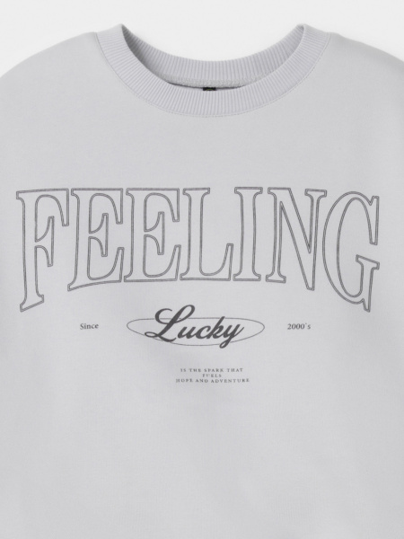 набор свитшот+брюки