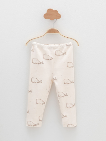 набор брюки