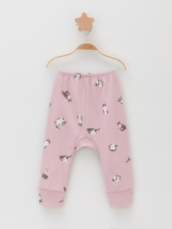 набор брюки