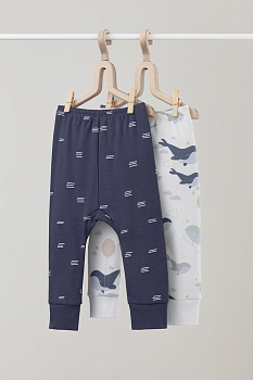 набор брюки